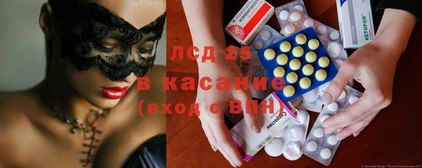 PSILOCYBIN Алзамай