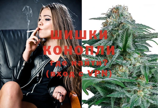PSILOCYBIN Алзамай