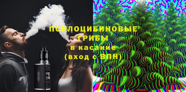 PSILOCYBIN Алзамай