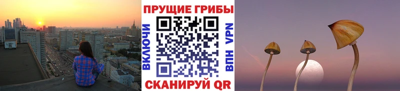ОМГ ОМГ онион  Казань  Галлюциногенные грибы мицелий 
